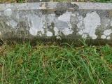 image of grave number 826252